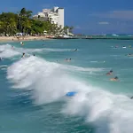 Newly Renovated Studio With Rooftop Pool & Near Waikiki Beach!