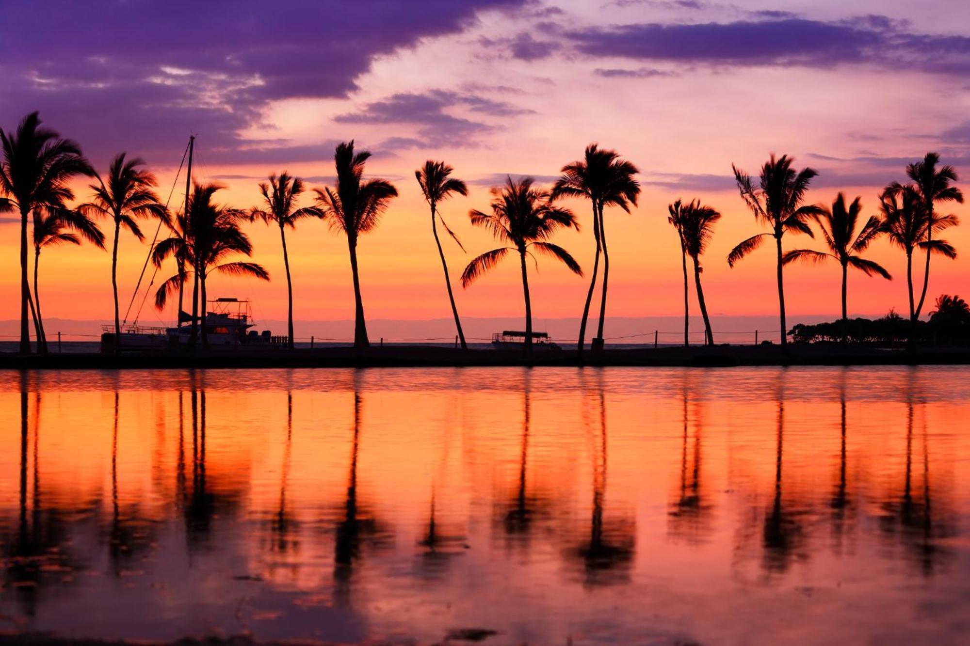 Newly Renovated With Rooftop Pool & Near Waikiki Beach!
