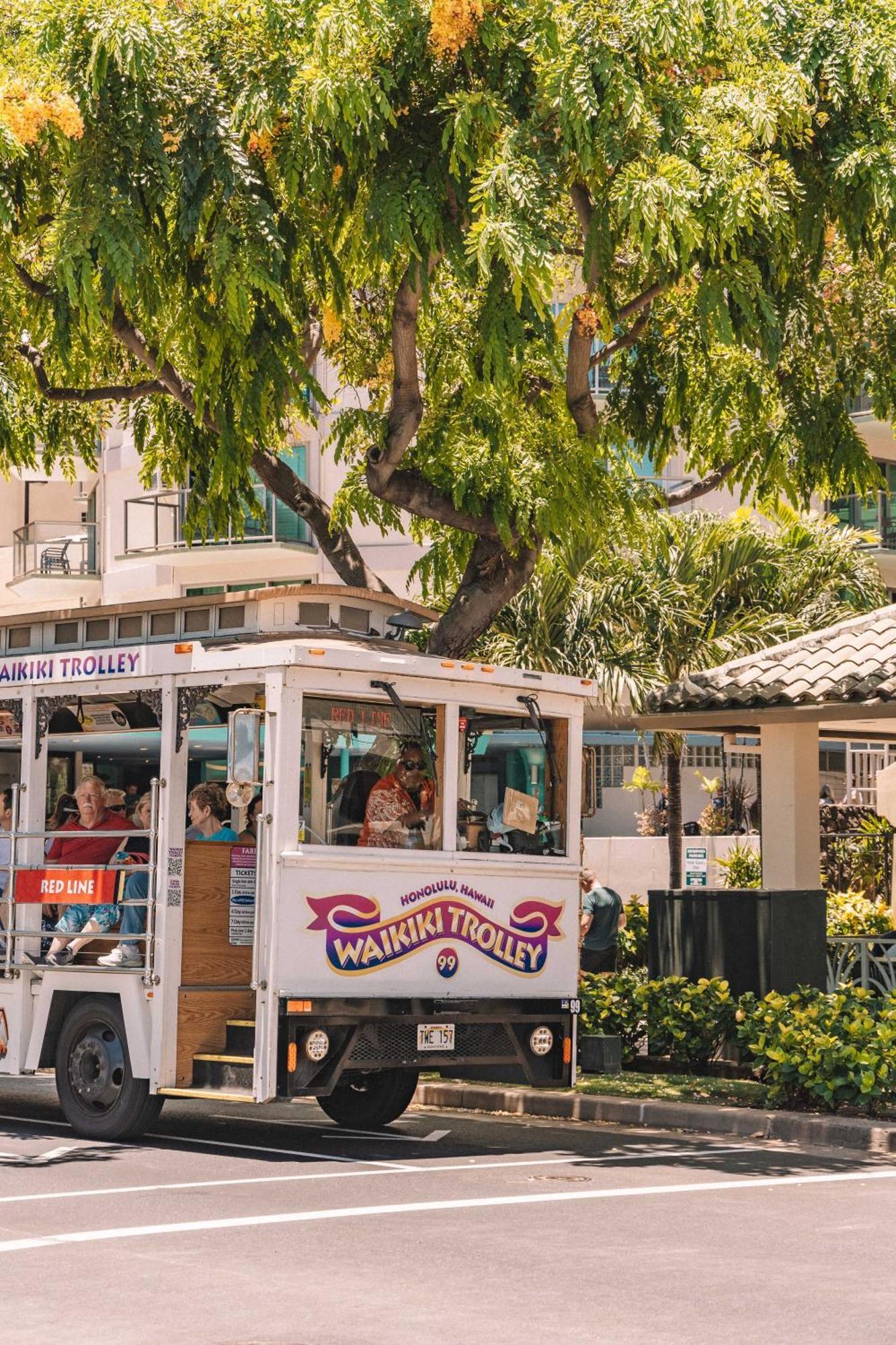 Newly Renovated With Rooftop Pool & Near Waikiki Beach! *